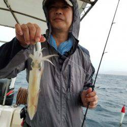 ソルトウォーターガイドフレンズ 釣果