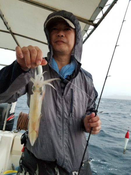 ソルトウォーターガイドフレンズ 釣果