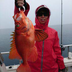 まるいち丸 ZERO-1 釣果