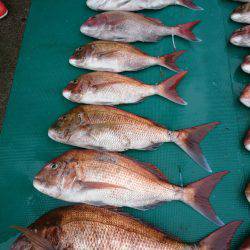 まるいち丸 ZERO-1 釣果