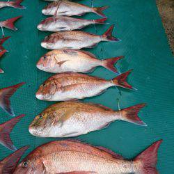 まるいち丸 ZERO-1 釣果