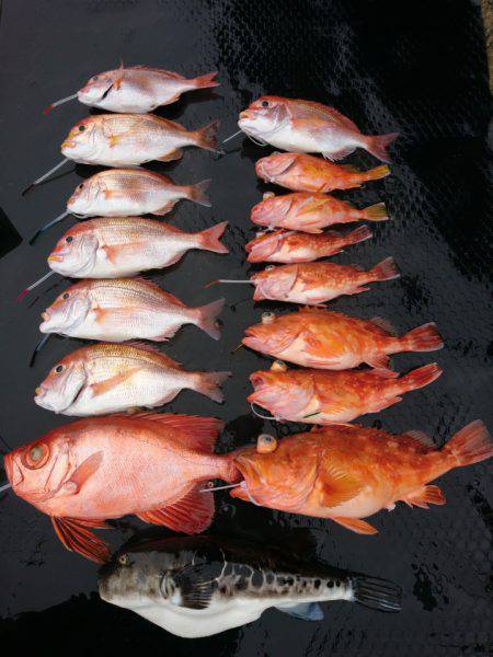 まるいち丸 ZERO-1 釣果