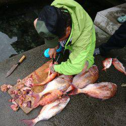 まるいち丸 ZERO-1 釣果