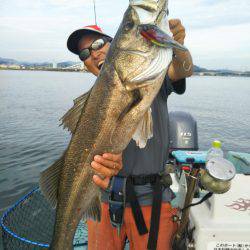 アマテラス 釣果