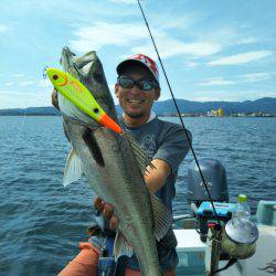 アマテラス 釣果