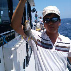 ありもと丸 釣果