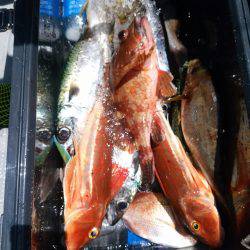 ありもと丸 釣果