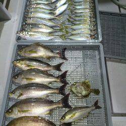 エンペラー 釣果