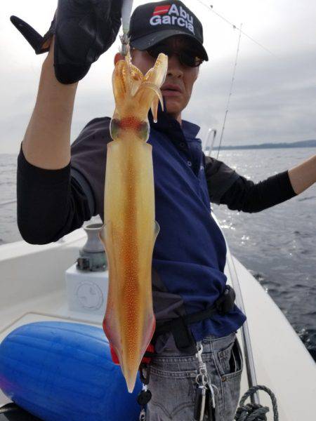 ソルトウォーターガイドフレンズ 釣果