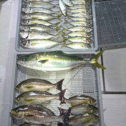 エンペラー 釣果