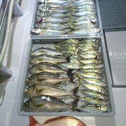 エンペラー 釣果