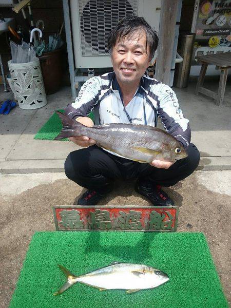 幕島丸 釣果