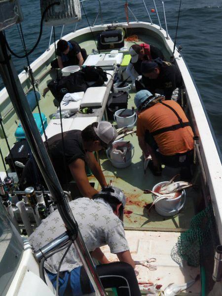 天祐丸 釣果