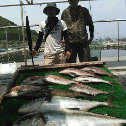 海の釣堀 海恵 釣果