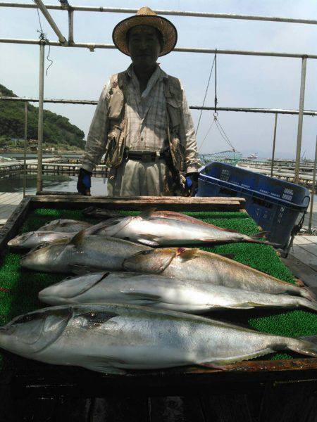 海の釣堀 海恵 釣果