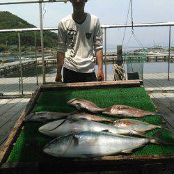 海の釣堀 海恵 釣果