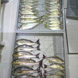 エンペラー 釣果