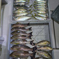 エンペラー 釣果