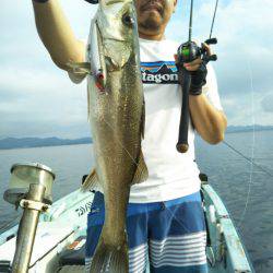 アマテラス 釣果