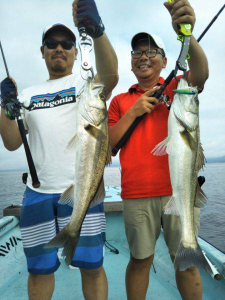 アマテラス 釣果