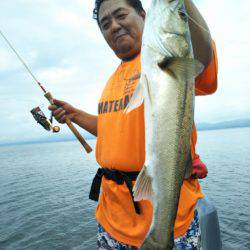 アマテラス 釣果