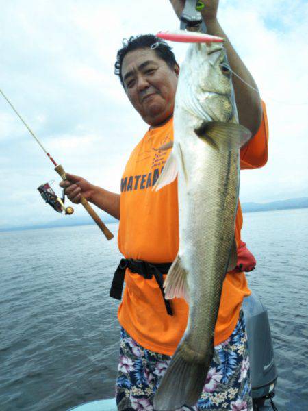 アマテラス 釣果