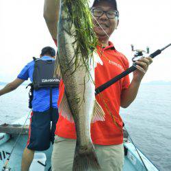 アマテラス 釣果