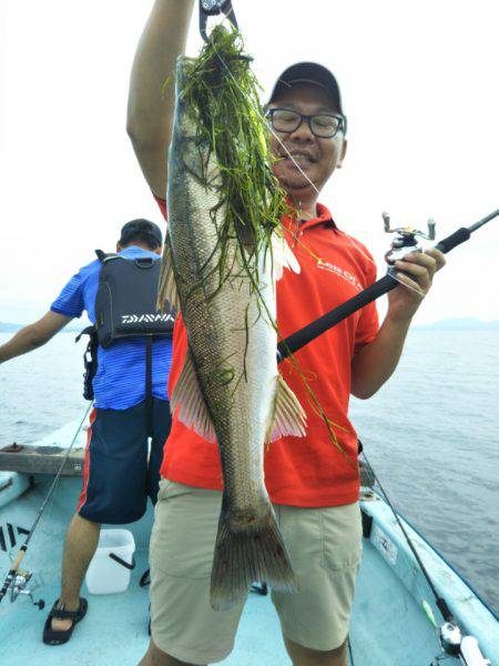 アマテラス 釣果