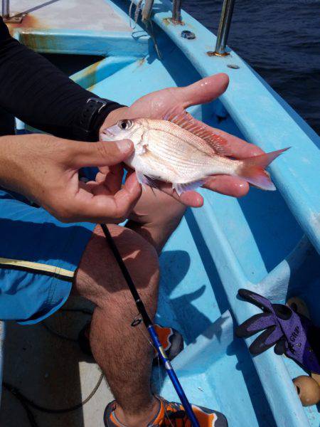 みやけ丸 釣果