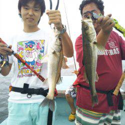 アマテラス 釣果