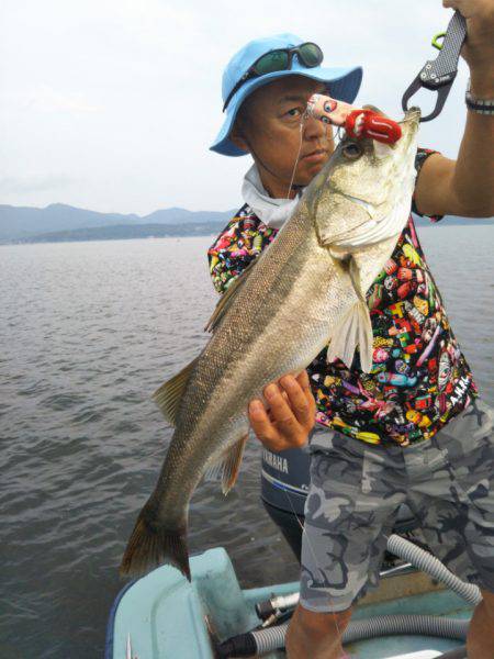 アマテラス 釣果