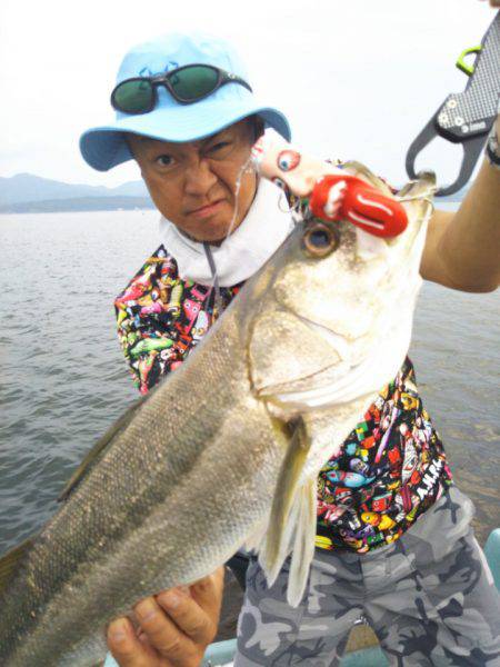 アマテラス 釣果