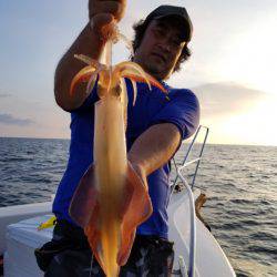 ソルトウォーターガイドフレンズ 釣果