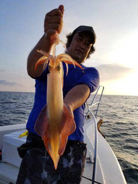 ソルトウォーターガイドフレンズ 釣果