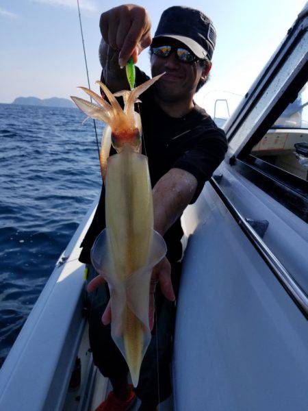 ソルトウォーターガイドフレンズ 釣果