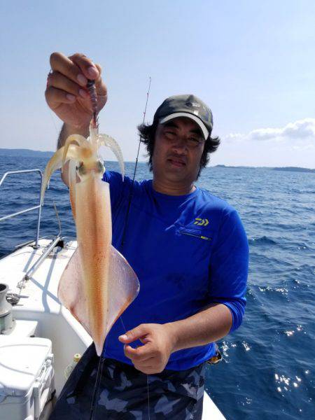 ソルトウォーターガイドフレンズ 釣果