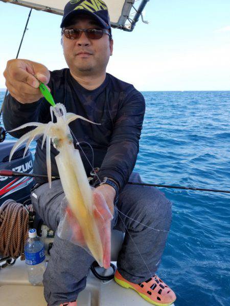 ソルトウォーターガイドフレンズ 釣果