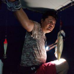 ソルトウォーターガイドフレンズ 釣果