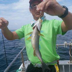 ありもと丸 釣果