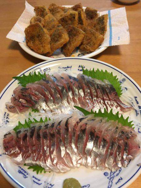 和栄丸 釣果
