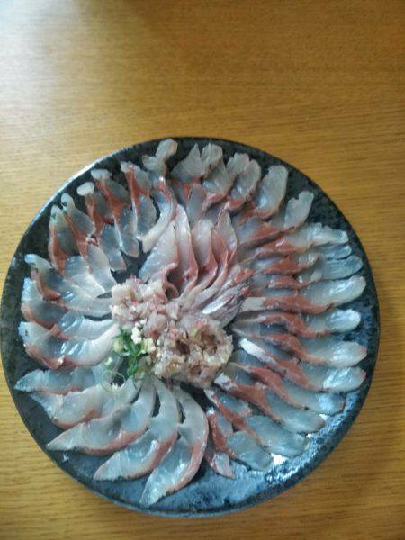 和栄丸 釣果