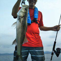 アマテラス 釣果