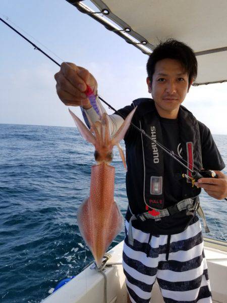 ソルトウォーターガイドフレンズ 釣果