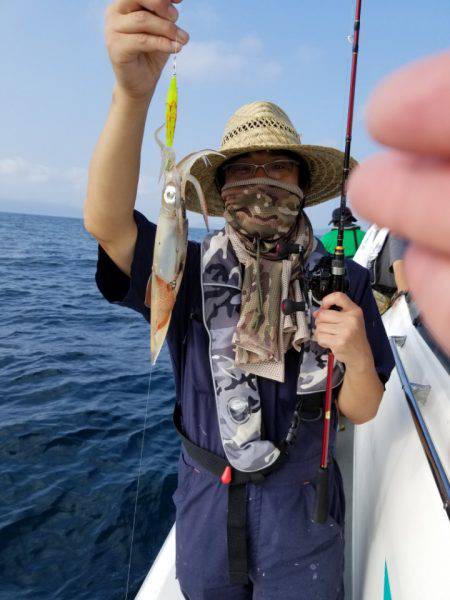 ソルトウォーターガイドフレンズ 釣果