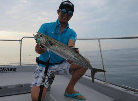Chase（チェイス） 釣果