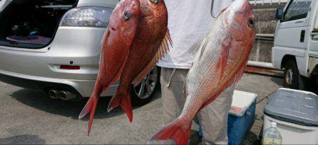 だて丸 釣果