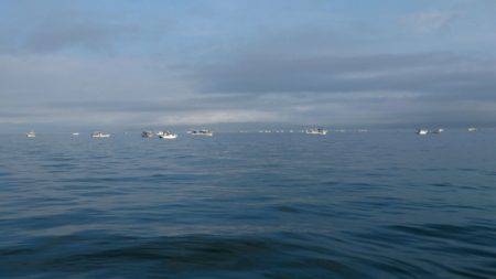 遊漁船 家入 釣果