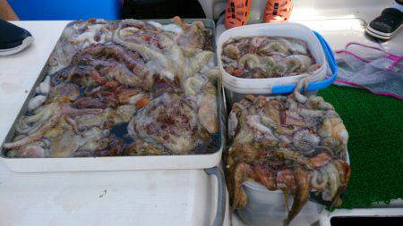 遊漁船 家入 釣果