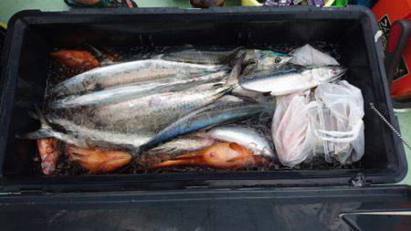 あみや渡船 JIGBOY 釣果