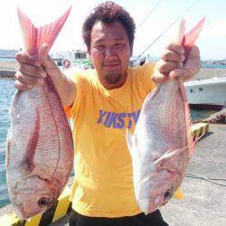 だて丸 釣果